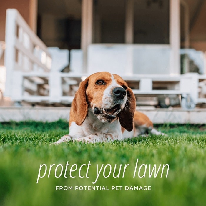 tips for maintaining