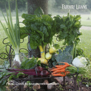 Top 3 Ways to Enjoy Your Fairway Lawn in the Spring and Summer
