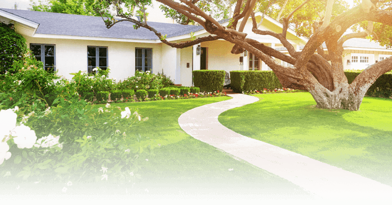 Lawn Seeding in Birmingham