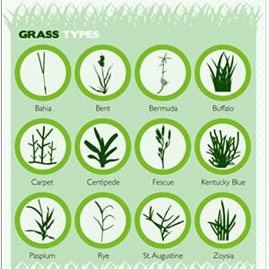 GrassMatchBlog