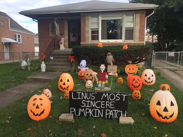 halloween decorations with many pumpkins
