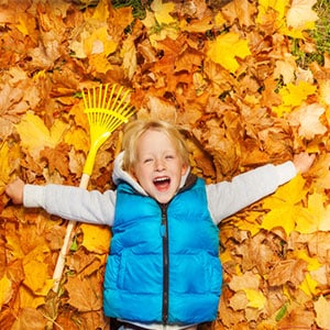 RakingLeavesBlog