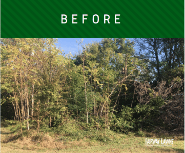 How Fairway Gives Back, before