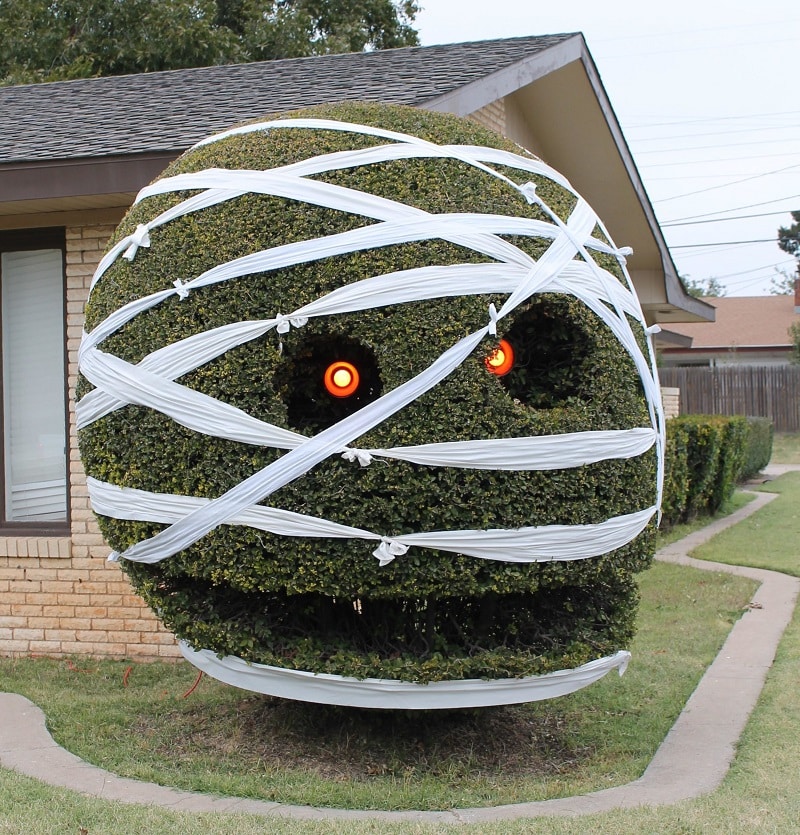 large bush with scary eyes for Halloween