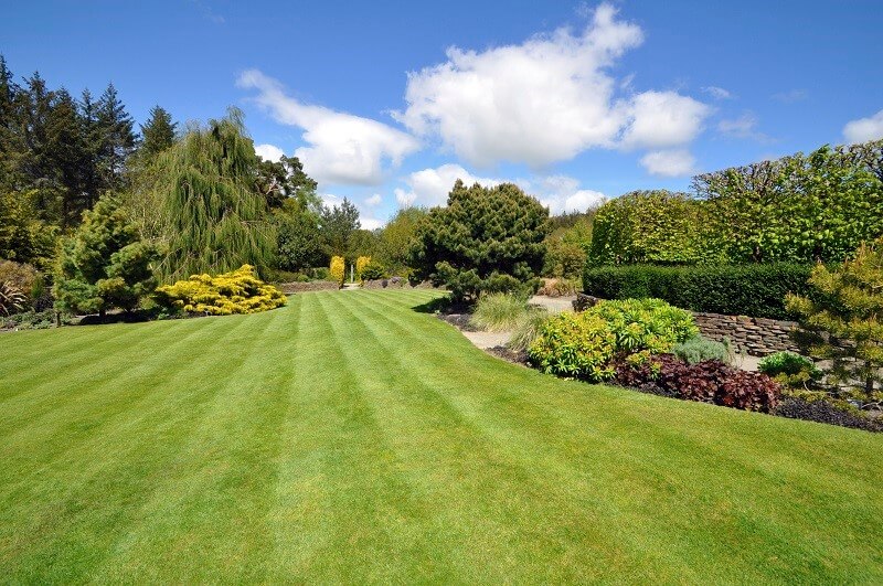 lawn tips