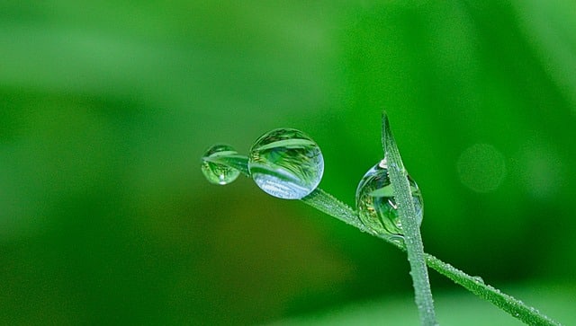 nature 2310554 640