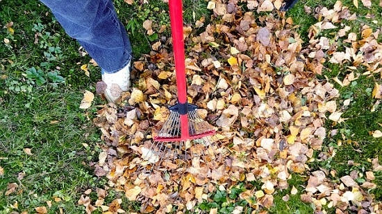raking 2756006 640
