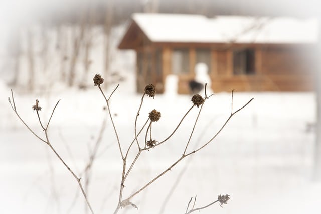 winter 173579 640
