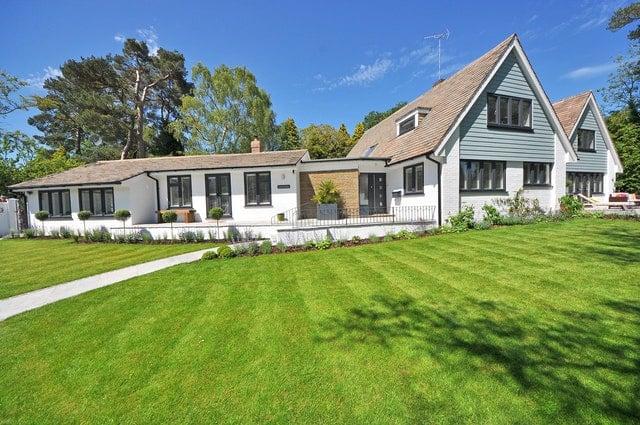 beautiful lawn