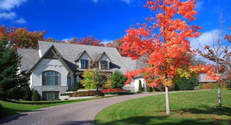 Lawn Treatment Services - Jacksonville