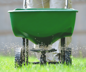 SEO FAIR BlogGraphic fertilization