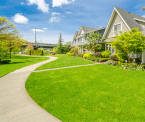 Lawn Treatment Services in Birmingham