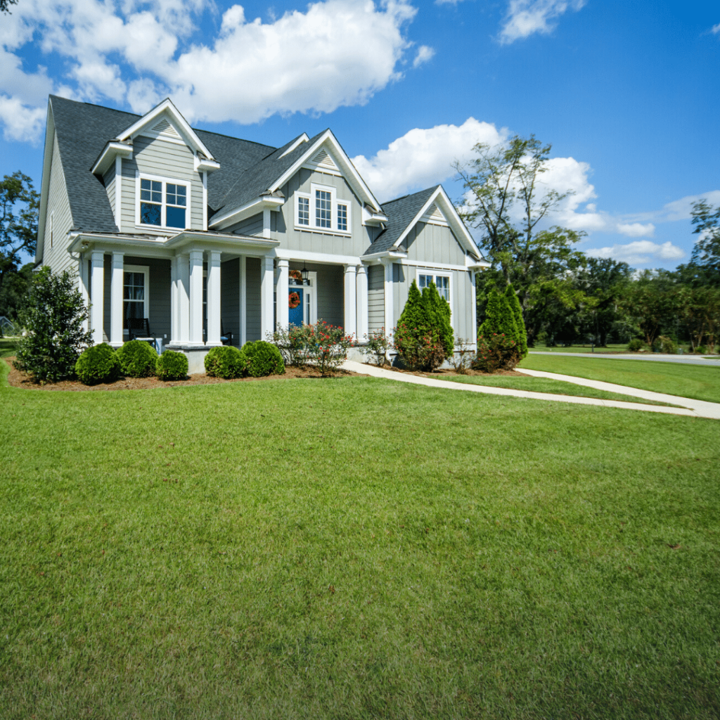 Insect Lawn Treatment - Tulsa