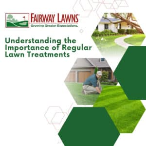 Regular Lawn Treatments