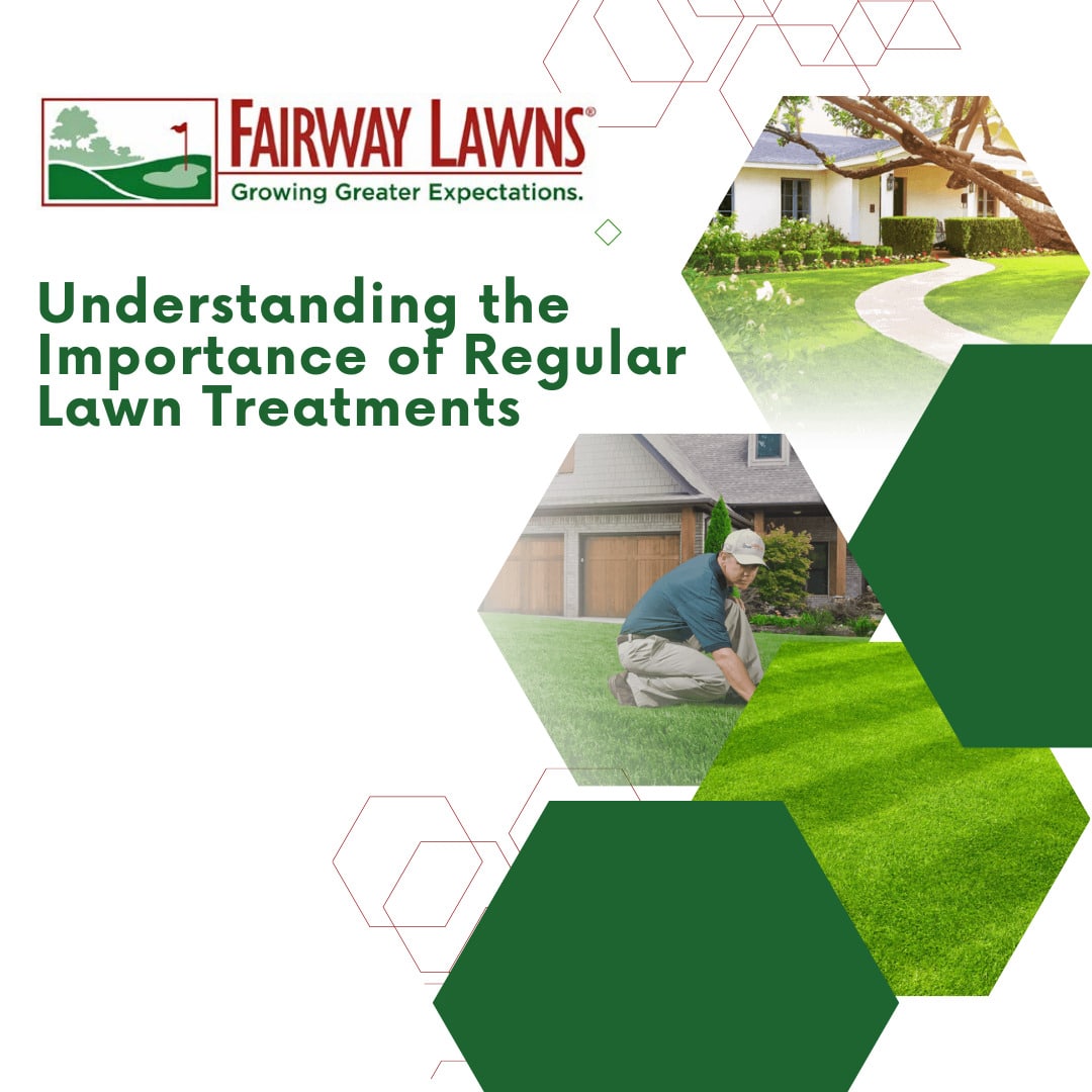 Regular Lawn Treatments