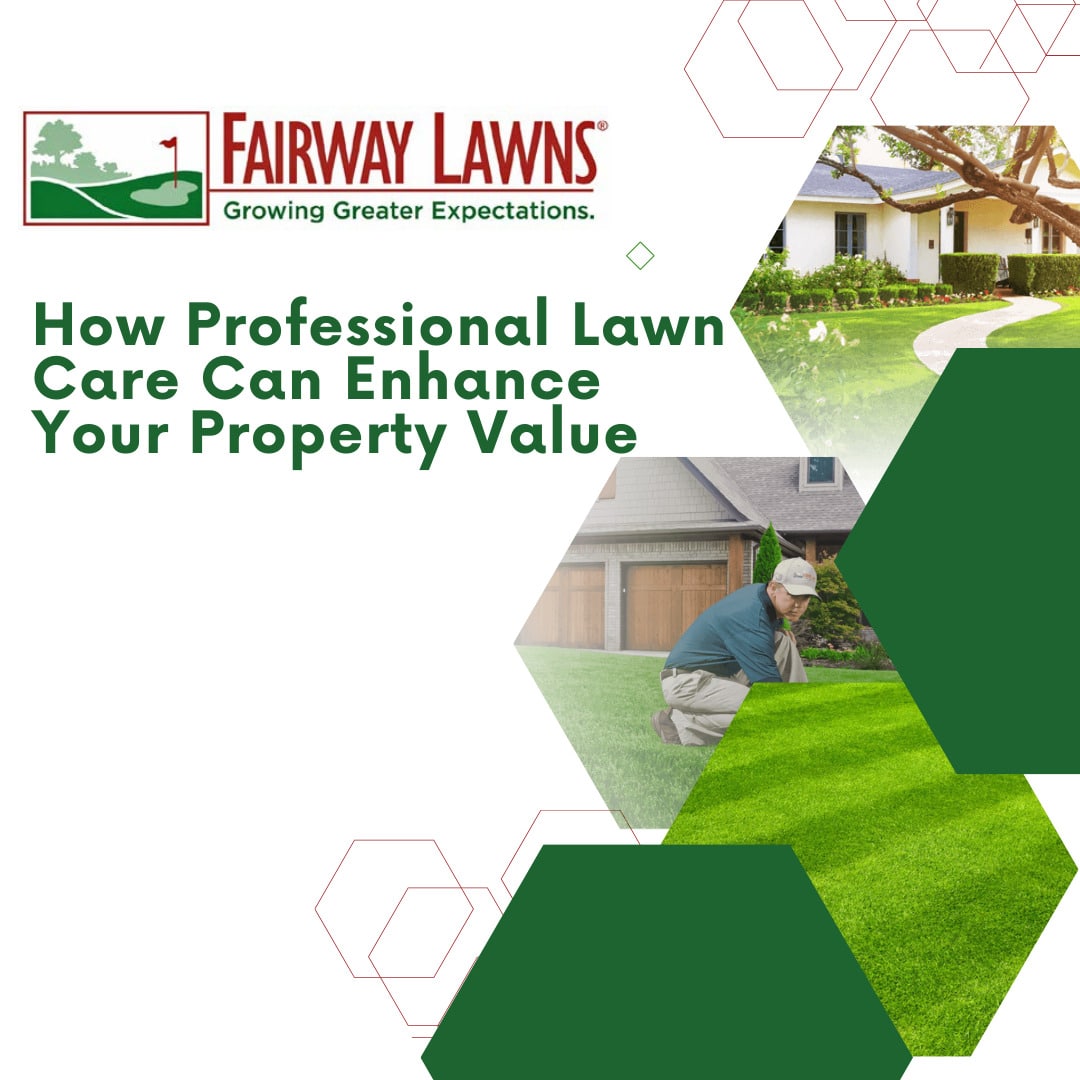Seasonal Lawn Care