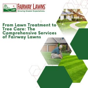 Transform Your Landscape