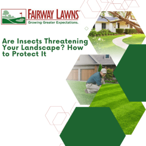 Insect Threats
