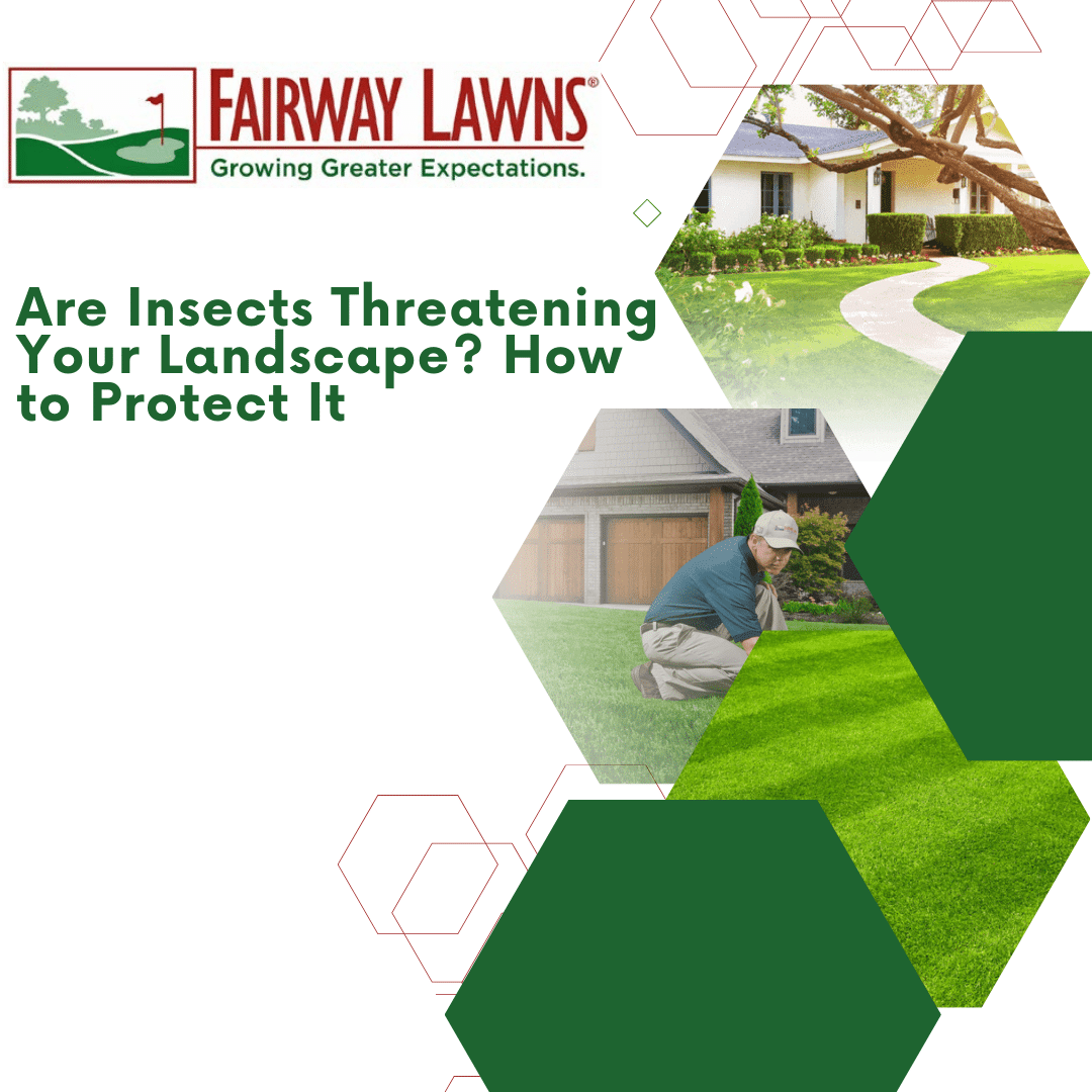Insect Threats
