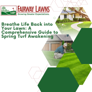 Spring Lawn Awakening