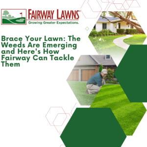 Tackle Emerging Weeds