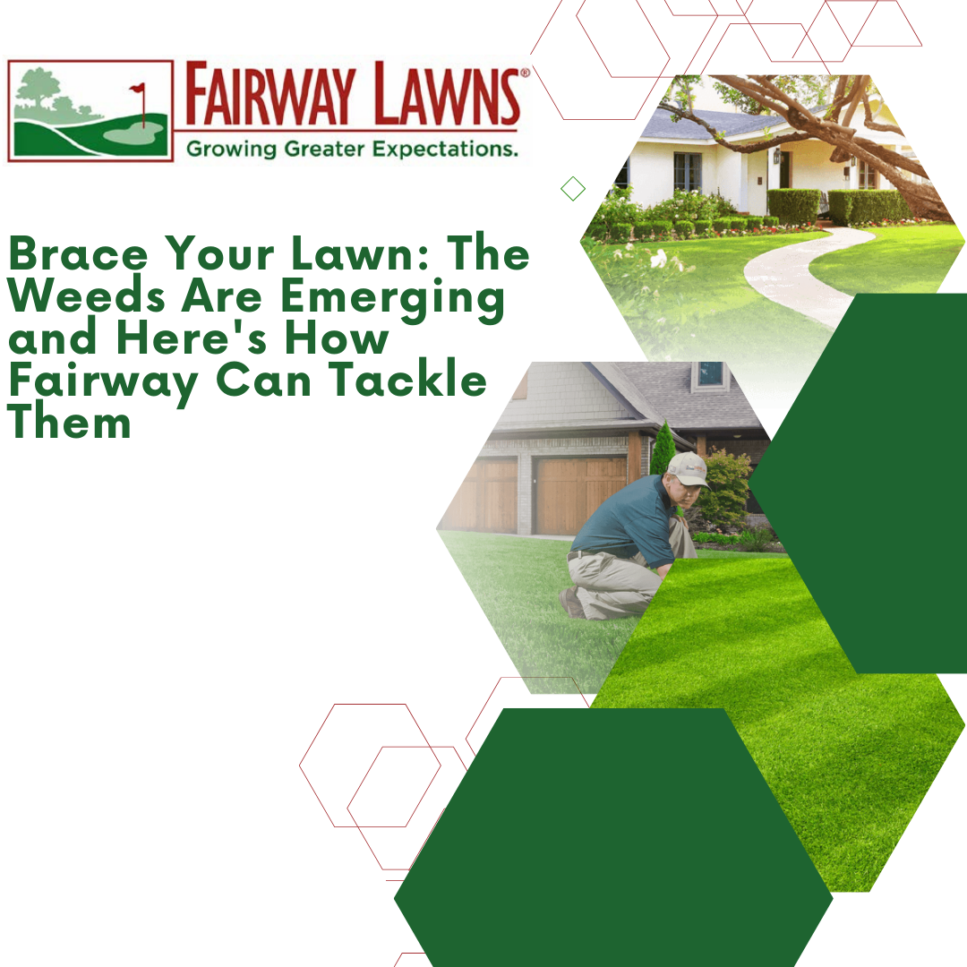 Tackle Emerging Weeds