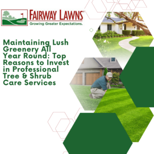 Maintaining lush greenery