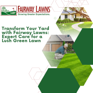 professional lawn care