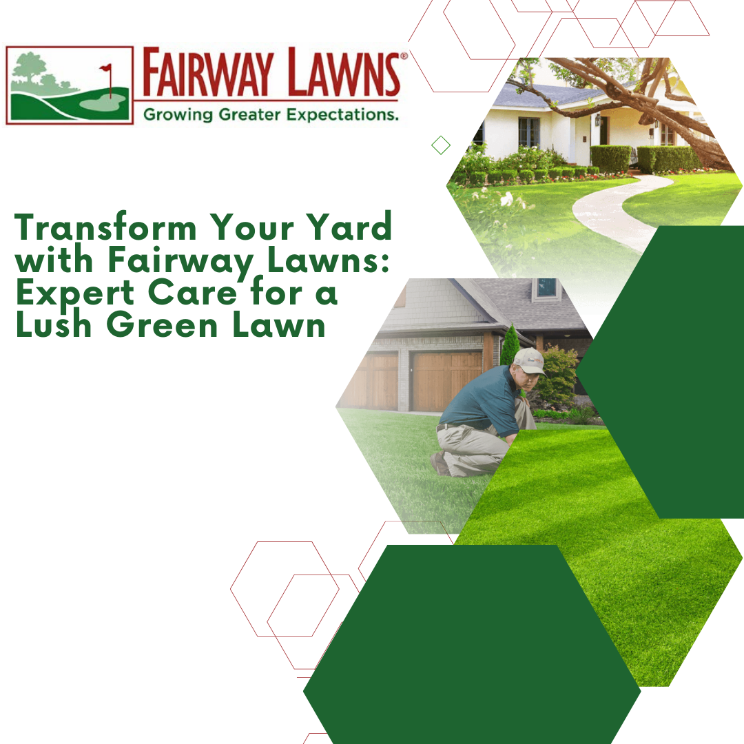professional lawn care