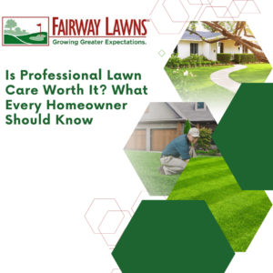 professional lawn care