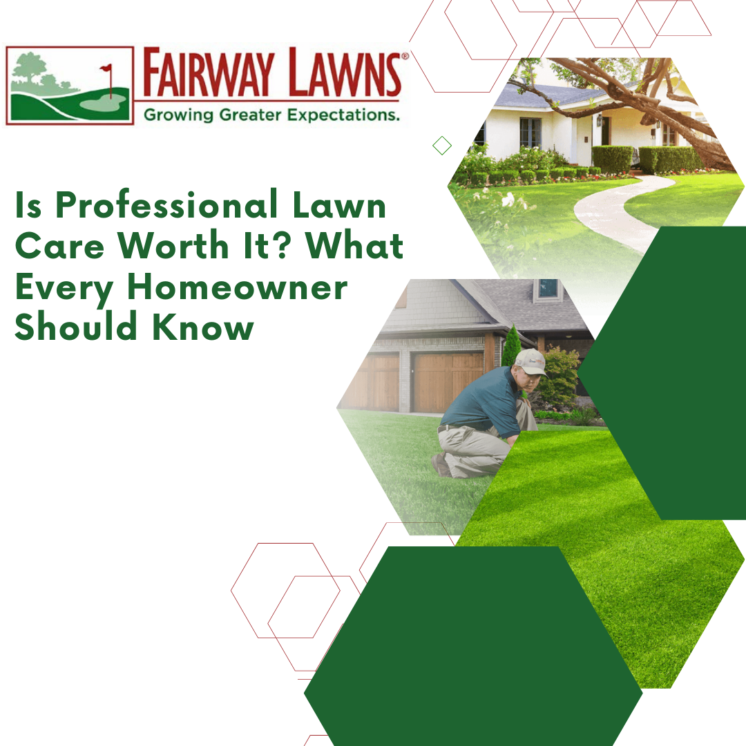professional lawn care