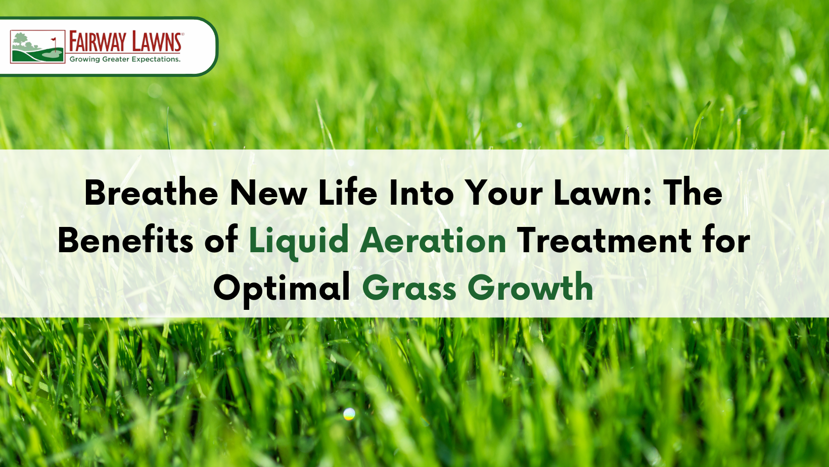 Liquid aeration treatment