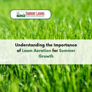 Lawn aeration