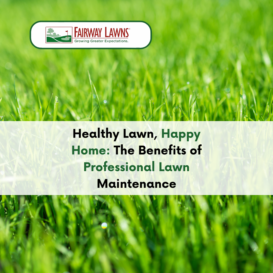 Expert Lawn Care