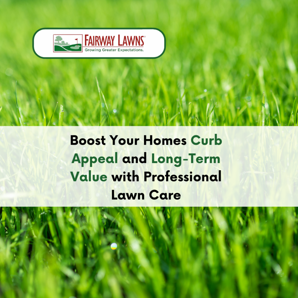 Boost Your Homes Curb Appeal and Long-Term Value with Professional Lawn Care