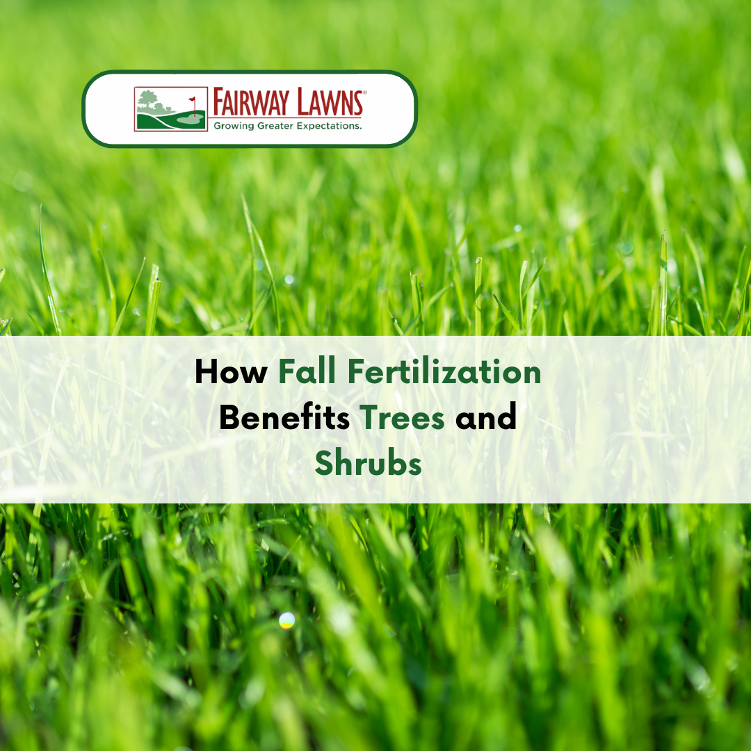 Fall Fertilization
