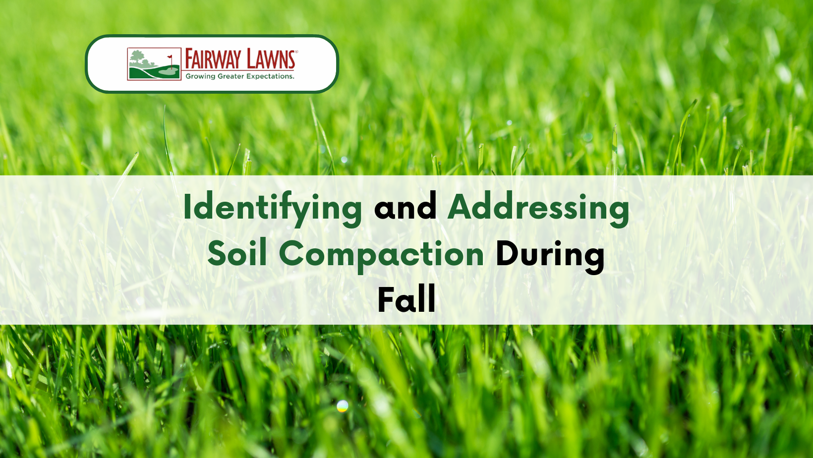 Identifying and Addressing Soil Compaction During Fall