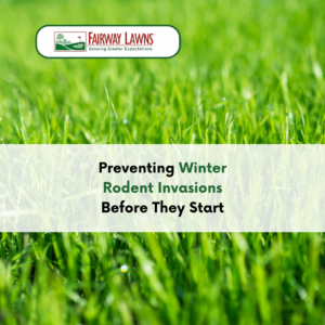 Preventing Winter Rodent Invasions Before They Start