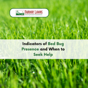 Indicators of Bed Bug Presence and When to Seek Help