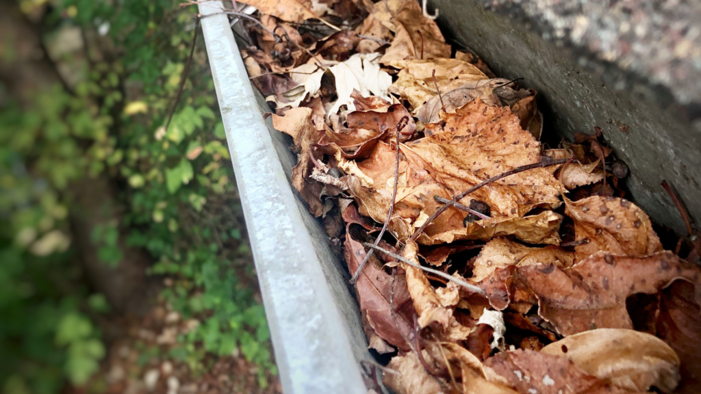 A close-up of a gutter overflowing with dry leaves and twigs.